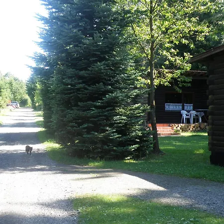 Hébergement de vacances Nice House With Sauna And Steam Bath In A Forest *