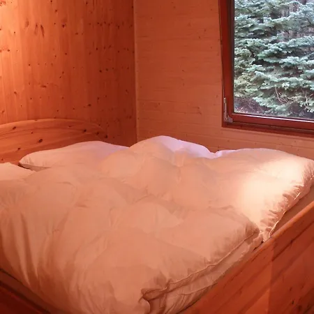 Nice House With Sauna And Steam Bath In A Forest