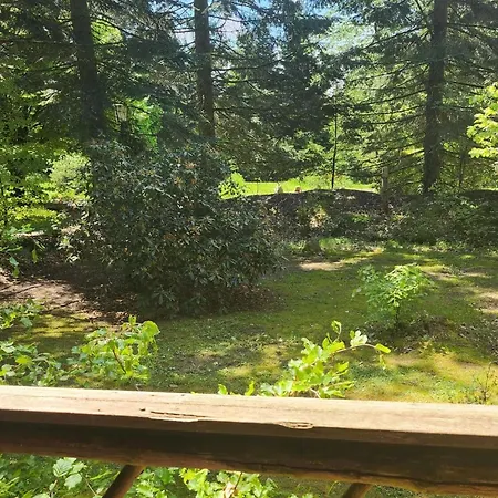 Nice House With Sauna And Steam Bath In A Forest Vakantiehuis Sellerich